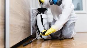 Best Termite Inspection and Treatment  in Apison, TN